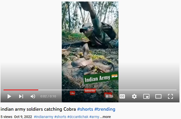 Viral short video of soldier catching a snake is not of Indian Army, but of a training related to Indonesian military.
