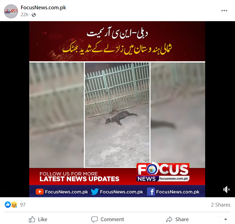 دہلی این سی آر کے زلزلے سے منسلک کرکے کتے کا ڈیڑھ سال پرانا ویڈیو ہوا وائرل