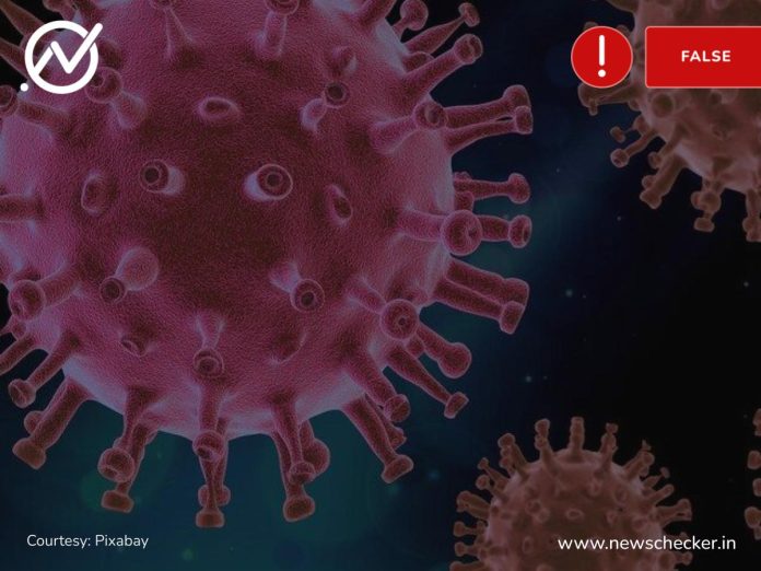  21 ਸਾਲ ਦੇ ਮੁੰਡੇ ਨੇ 52 ਸਾਲ ਦੀ ਮਹਿਲਾ ਨਾਲ ਕਰਵਾਇਆ ਵਿਆਹ