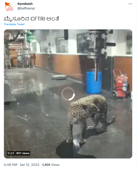 ಮೈಸೂರು, ಚಿರತೆ, ಸಿಎಫ್‌ಟಿಆರ್‌ಐ