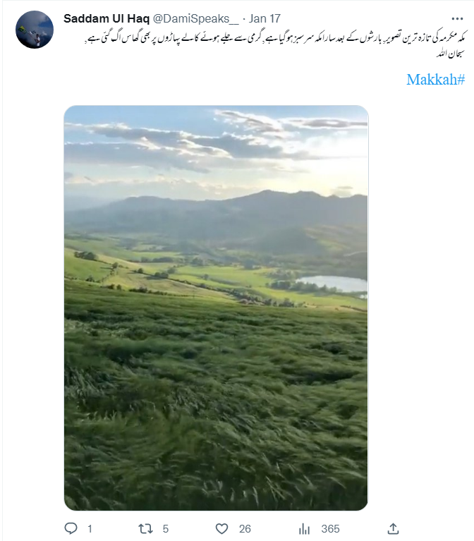 مکہ میں بارش کے بعد پہاڑوں پر آئی ہریالی کی نہیں ہے یہ تصویر