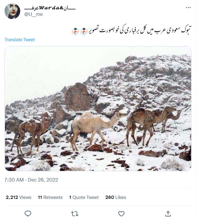 یہ تصویر سعودی عرب کے شہر تبوک میں ہوئی تازہ برفباری کی نہیں ہے۔