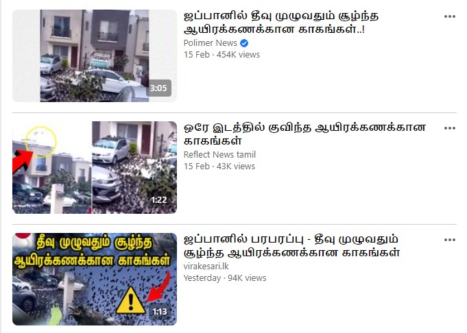 ஜப்பான் தெருக்களில் ஆயிரக்கணக்கான காகங்கள் சூழ்ந்ததாக ஊடகங்களில் வந்தச் செய்தி