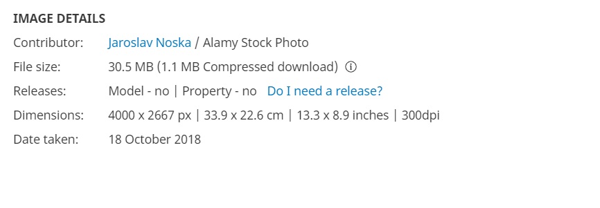ढिगाऱ्याखाली दबलेल्या व्यक्ती शेजारी बसलेल्या कुत्र्याचा फोटो अलीकडील तुर्की भूकंपातला आहे.