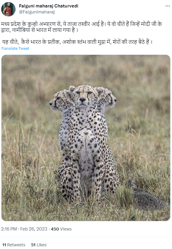 कूनो नेशनल पार्क