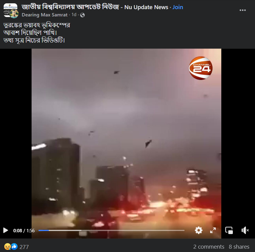 ভূমিকম্পের আগে তুরস্কের আকাশে দেখা গিয়েছিলো পাখিদের অস্বাভাবিক ব্যবহার  image 1