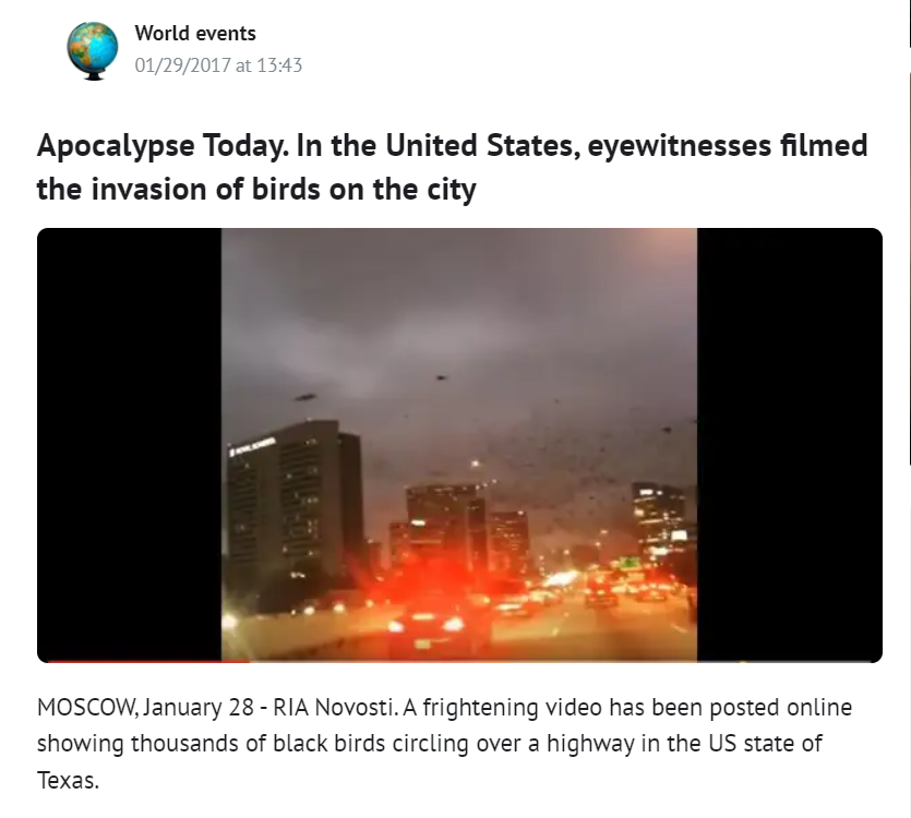 ভূমিকম্পের আগে তুরস্কের আকাশে দেখা গিয়েছিলো পাখিদের অস্বাভাবিক ব্যবহার image 3