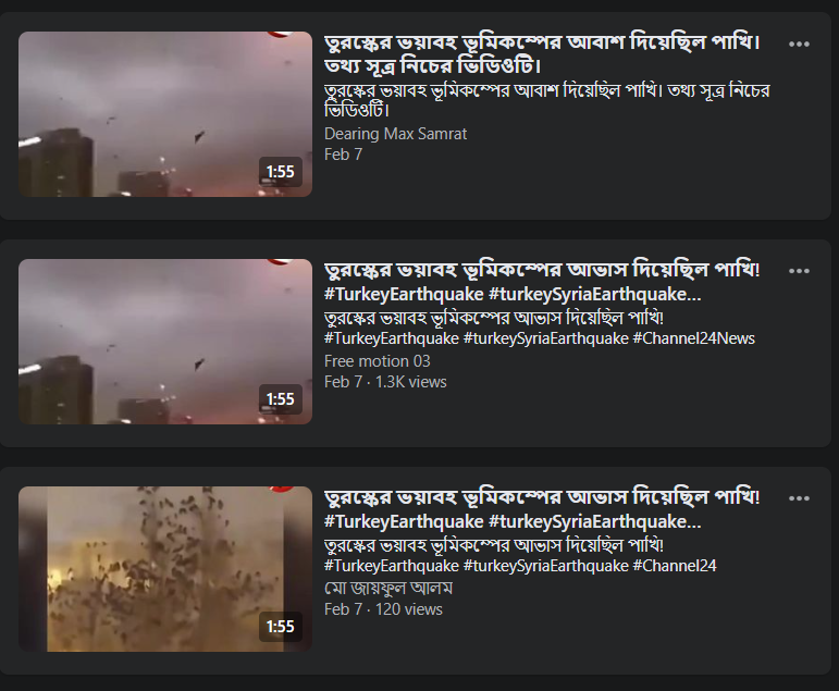 ভূমিকম্পের আগে তুরস্কের আকাশে দেখা গিয়েছিলো পাখিদের অস্বাভাবিক ব্যবহার  image 2