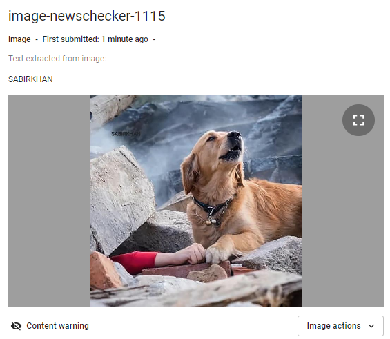 ਤੁਰਕੀ 'ਚ ਆਏ ਭੁਚਾਲ ਨਾਲ ਜੋੜਕੇ ਵਾਇਰਲ ਹੋ ਰਹੀ ਕੁੱਤੇ ਦੀ ਤਸਵੀਰ ਸਾਲ 2018 ਦੀ ਹੈ