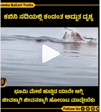 ಕಬಿನಿ, ಕೃಷ್ಣಮೃಗ, ಬೆನ್ನಟ್ಟಿದ ಮೊಸಳೆ, ವೈರಲ್‌ ವೀಡಿಯೋ