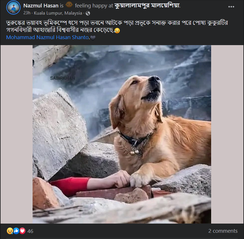 তুরস্কের ভূমিকম্পের আবহে ভাইরাল ধ্বংস্তুপের কাছে বসে থাকা কুকুরের image 1