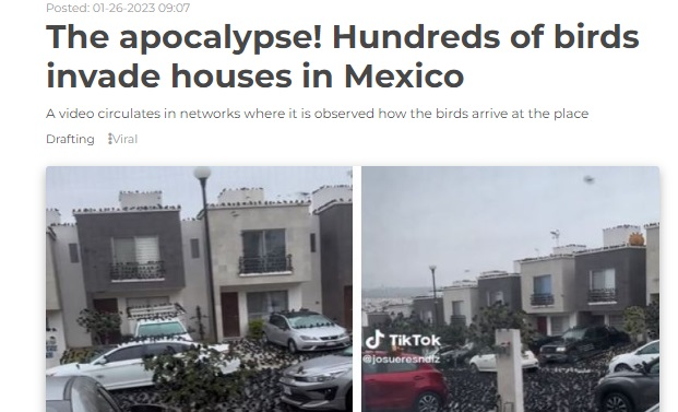 ஜப்பானில் தெருக்களில் ஆயிரக்கணக்கான காகங்கள் சூழ்ந்ததாக ஊடகங்களில் வந்தச் செய்தி