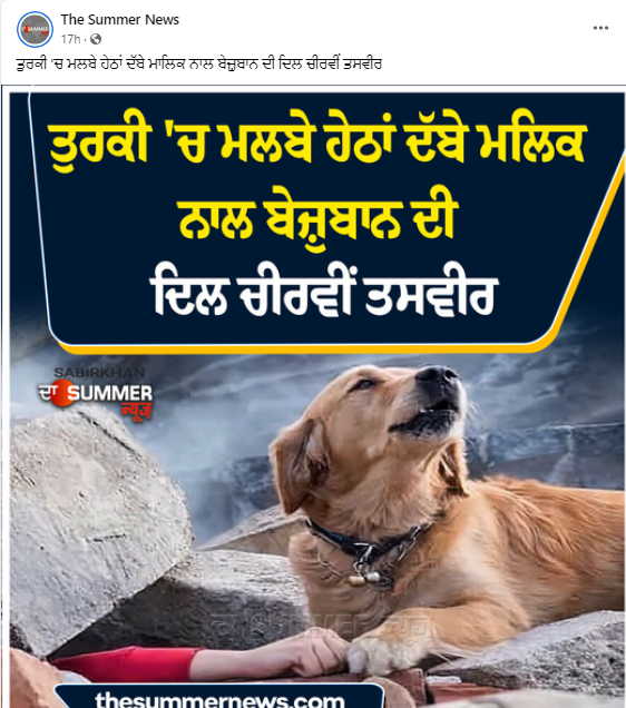 ਤੁਰਕੀ 'ਚ ਆਏ ਭੁਚਾਲ ਨਾਲ ਜੋੜਕੇ ਵਾਇਰਲ ਹੋ ਰਹੀ ਕੁੱਤੇ ਦੀ ਤਸਵੀਰ ਸਾਲ 2018 ਦੀ ਹੈ