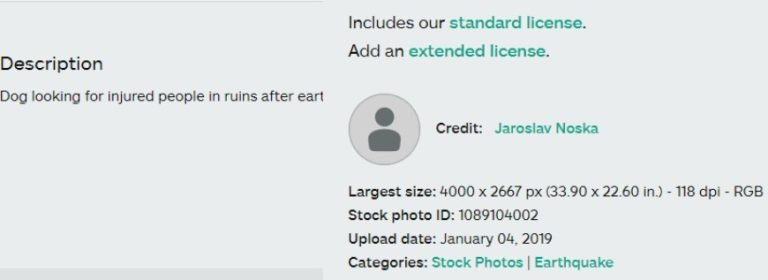 ਕੁੱਤੇ ਦੀ ਤਸਵੀਰ ਸਾਲ 2018 ਦੀ ਹੈ