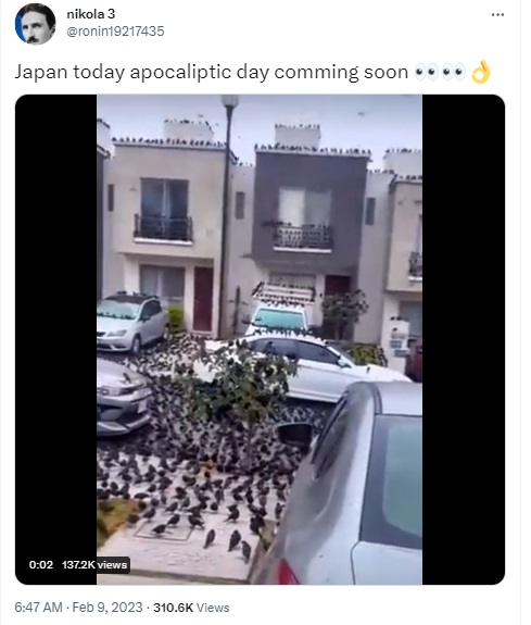 Video of birds invading a neighbourhood in Mexico falsely claimed to be from Japan