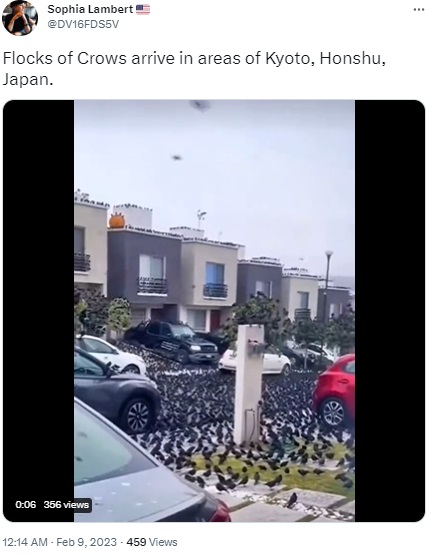 Video of birds invading a neighbourhood in Mexico falsely claimed to be from Japan