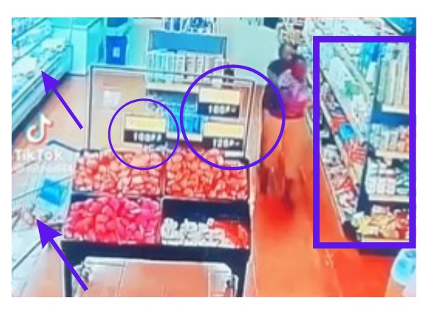 Old, Unrelated Video Shared As Visuals Of Recent Earthquake In New Zealand