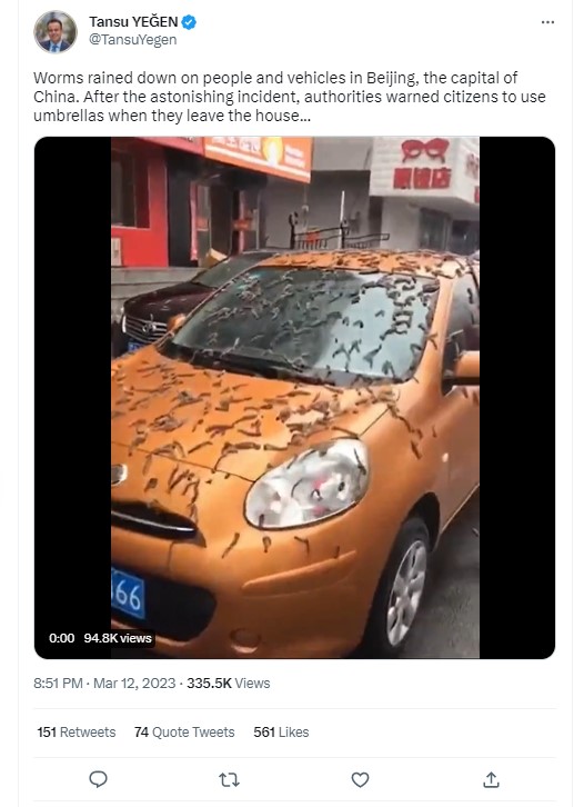 Fact Check: चीनमध्ये पडला 'अळ्यांचा पाऊस'? व्हायरल व्हिडिओमागील सत्य येथे जाणून घ्या