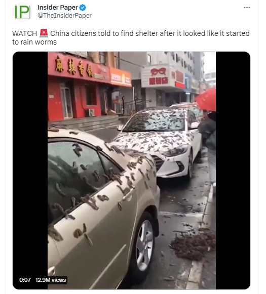 Fact Check: चीनमध्ये पडला 'अळ्यांचा पाऊस'? व्हायरल व्हिडिओमागील सत्य येथे जाणून घ्या