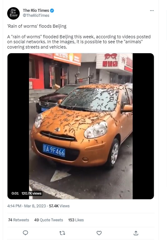 Fact Check: चीनमध्ये पडला 'अळ्यांचा पाऊस'? व्हायरल व्हिडिओमागील सत्य येथे जाणून घ्या
