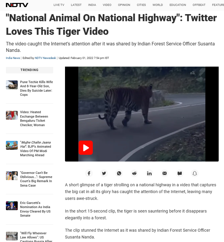 ಆಗುಂಬೆ ಘಾಟಿ ರಸ್ತೆಯಲ್ಲಿ ಹುಲಿ ಕಾಣಿಸಿಕೊಂಡಿದೆ