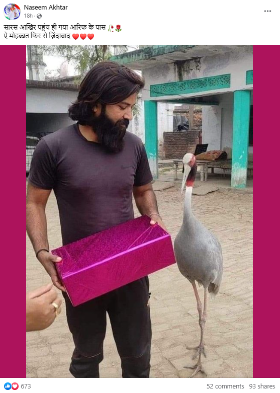 सोशल मीडिया पर एक तस्वीर शेयर कर यह दावा किया जा रहा है कि वन विभाग जिस सारस को अपने साथ ले गया था वह वापस आरिफ गुर्जर के पास आ गया है.