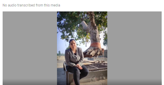 ਦਰੱਖਤ ਹਵਾ 'ਚ ਲਟਕਦਾ ਨਜ਼ਰ ਆ ਰਿਹਾ 