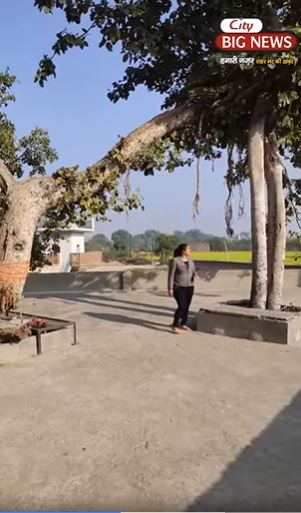 ਸੋਸ਼ਲ ਮੀਡੀਆ 'ਤੇ ਇਕ ਵੀਡੀਓ ਵਾਇਰਲ ਹੋ ਰਹੀ ਹੈ, ਜਿਸ 'ਚ ਇਕ ਦਰੱਖਤ ਹਵਾ 'ਚ ਲਟਕਦਾ ਨਜ਼ਰ ਆ ਰਿਹਾ 