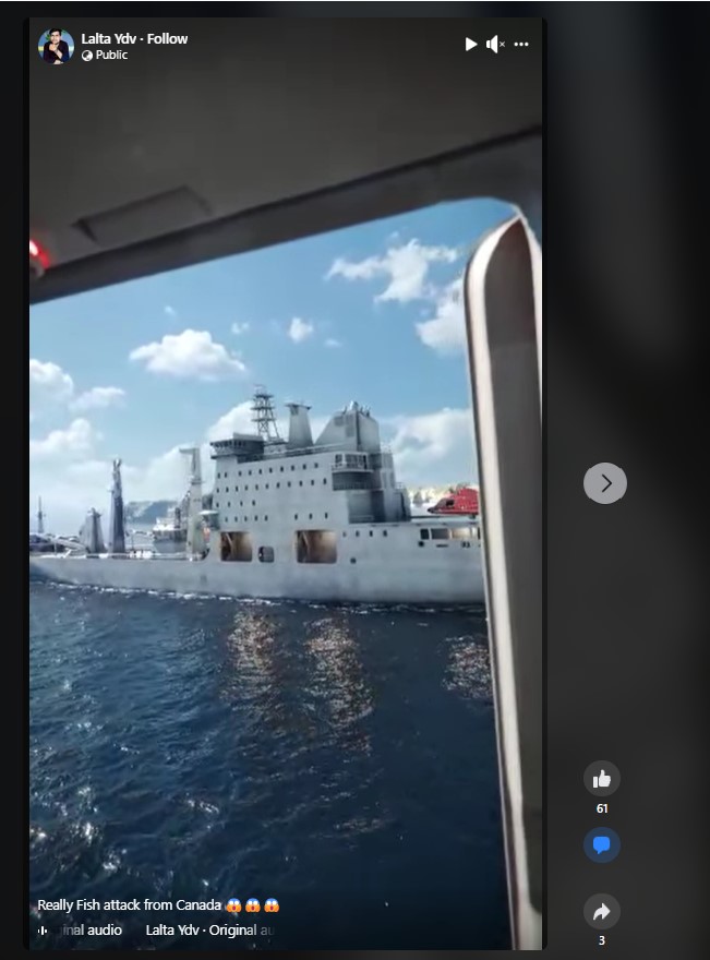 Fish Attack In Canada?