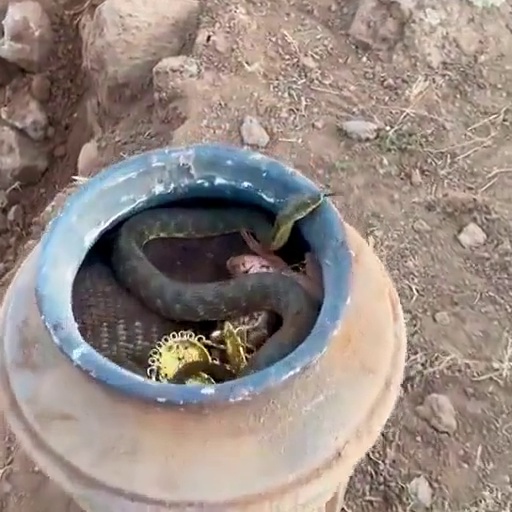 ಮಂಗಳೂರಿನಲ್ಲಿ ಕಾಲೇಜು ಕಾಮಗಾರಿ ವೇಳೆ ನಿಧಿ ಸಿಕ್ಕಿದೆಯೇ, ವೈರಲ್‌ ವೀಡಿಯೋ ಹಿಂದಿನ ಸತ್ಯ ಏನು