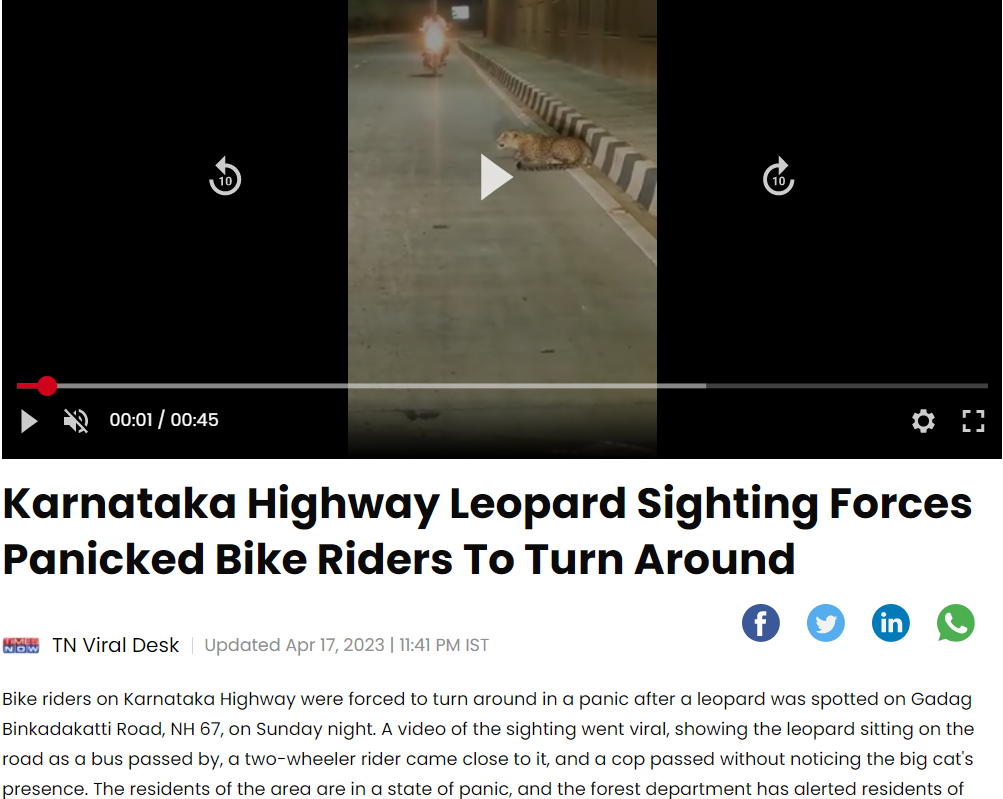 Fact Check: बिबट्या पुणे किंवा नागपूरला नाही तर कर्नाटकाच्या गदग मध्ये दिसला, दिशाभूल करीत व्हिडीओ व्हायरल 