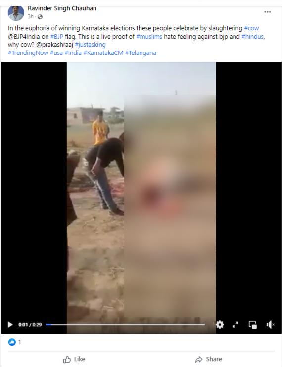 कर्नाटकात काँग्रेसच्या विजयानंतर भाजपच्या झेंड्यावर गाईची कत्तल? नाही, खोट्या दाव्यांसह जुना व्हिडीओ होतोय शेयर