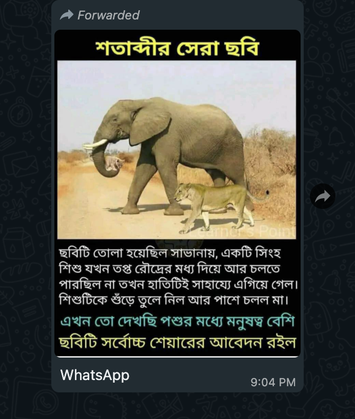 হাতি image 1