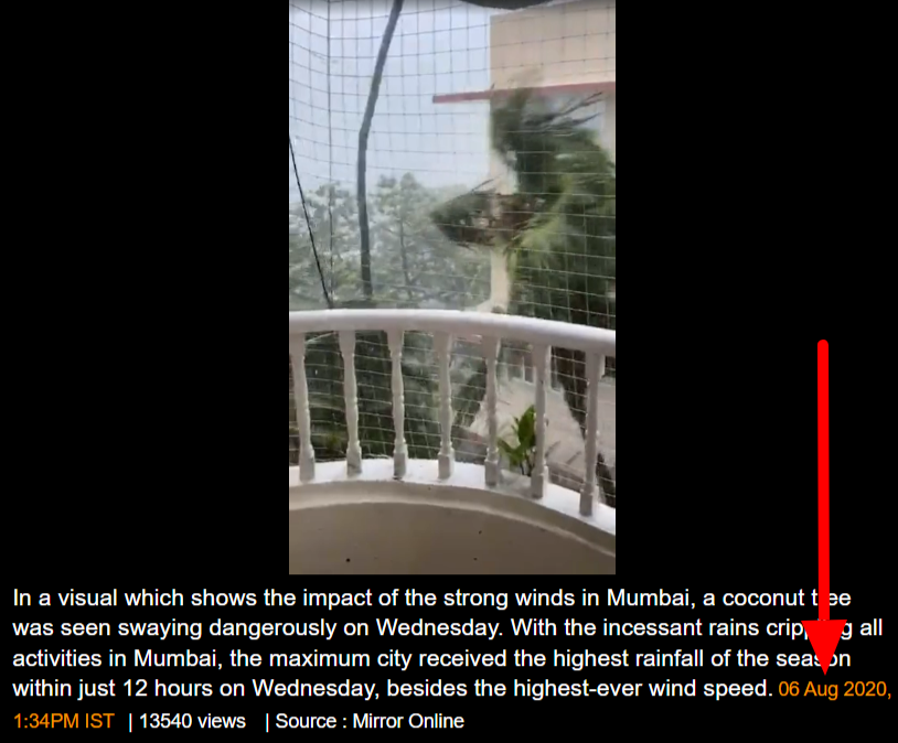 झाड भयंकरपणे डोलत असल्याचा जुना व्हिडिओ बिपरजॉय चक्रीवादळाशी जोडून व्हायरल