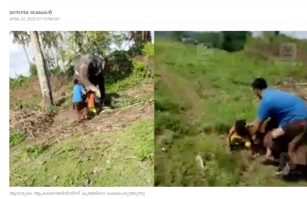  கேரளாவில் யானைக்கு இறைச்சி தந்த முஸ்லீம் நபரை யானை தாக்கியதாக சமூக வலைத்தளங்களில் பரவும் வீடியோத் தகவல்