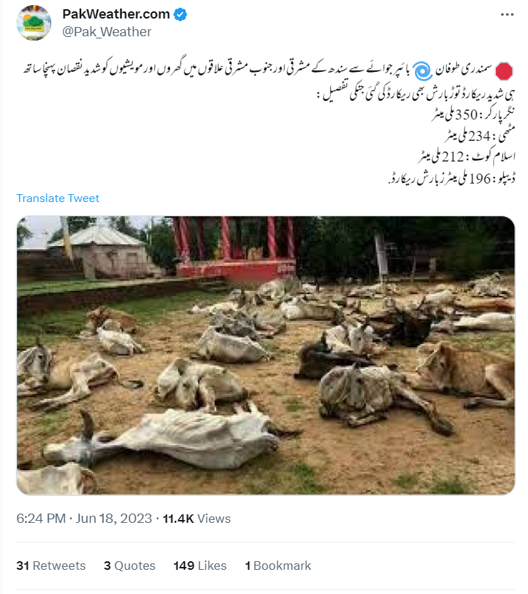  یہ تصویر زمین پر مردہ پڑے مویشیوں کی نہیں ہے۔