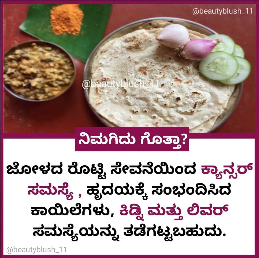 ಜೋಳದ ರೊಟ್ಟಿ ಸೇವನೆಯಿಂದ ಕ್ಯಾನ್ಸರ್, ಹೃದಯ ಸಂಬಂಧಿ ಕಾಯಿಲೆ, ಕಿಡ್ನಿ ಮತ್ತು ಯಕೃತ್ತಿನ ಸಮಸ್ಯೆಗಳನ್ನು ತಡೆಯಬಹುದೇ?