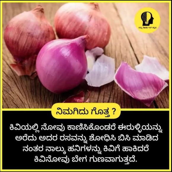 ಈರುಳ್ಳಿ ರಸ ಹಾಕುವುದರಿಂದ ಕಿವಿ ನೋವು ಗುಣವಾಗುತ್ತಾ?