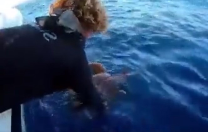 From Kai Owen Fishing's video 