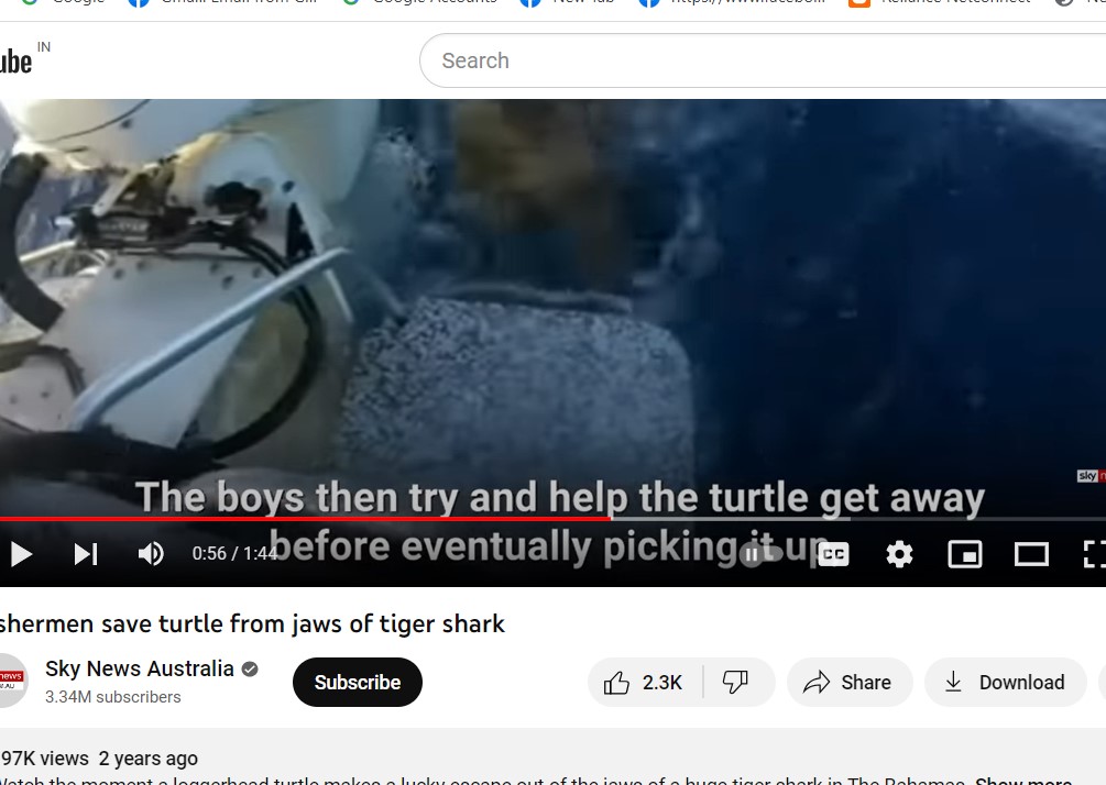 Screen grab of youtube Video by Sky News Australia