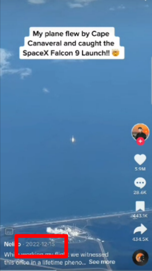 Screengrab from TikTok