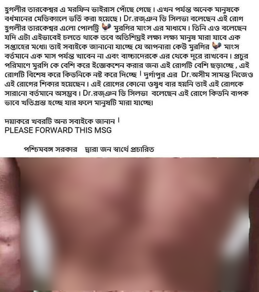 মরফিন image 1