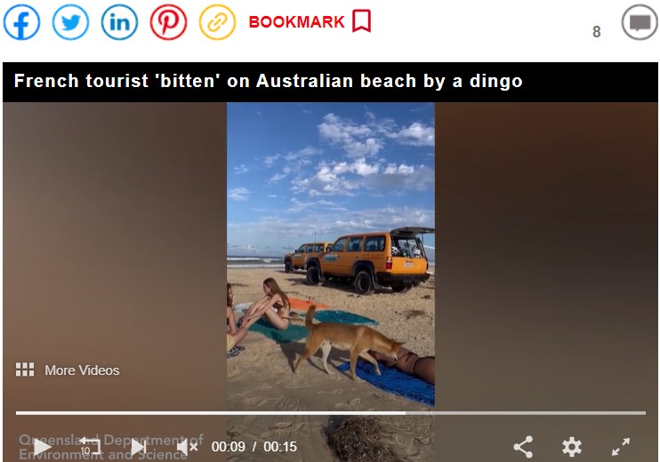 Screenshot of Express UK's video