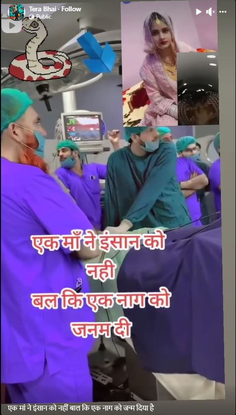 ਗਰਭਵਤੀ ਔਰਤ ਨੇ ਸੱਪ ਨੂੰ ਦਿੱਤਾ ਜਨਮ