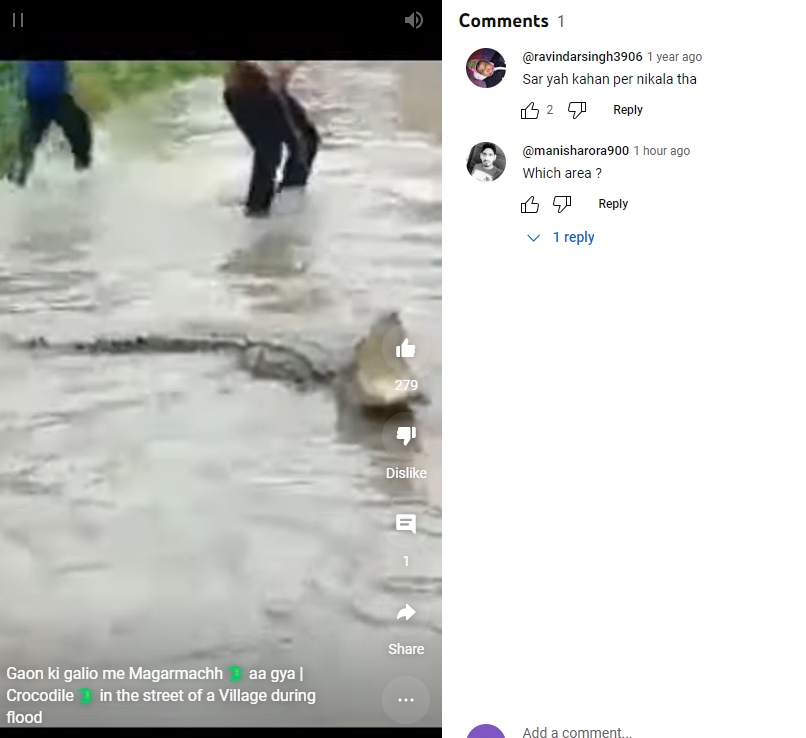 ਵਰਦੇ ਮੀਂਹ ‘ਚ ਆਇਆ ਮਗਰਮੱਛ