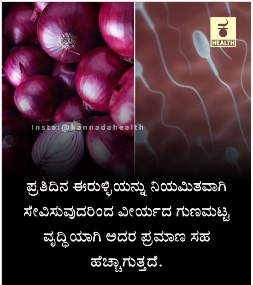 Fact Check: ದಿನವೂ ಈರುಳ್ಳಿ ತಿನ್ನೋದ್ರಿಂದ ವೀರ್ಯದ ಗುಣಮಟ್ಟ ಸುಧಾರಿಸುತ್ತದೆಯೇ, ಸತ್ಯ ಏನು?