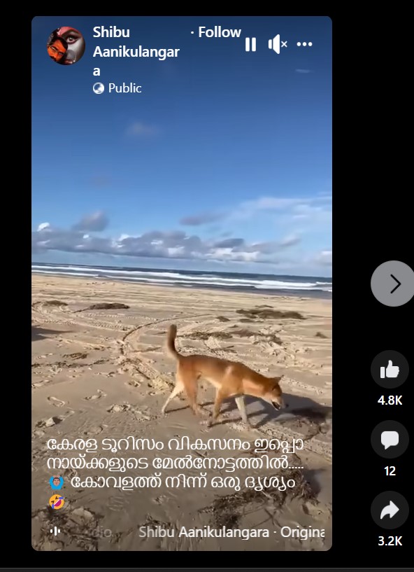 Facebook Reels by Shibu Aanikulangara