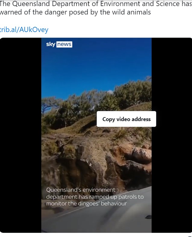 Screen shot of Sky News's tweet