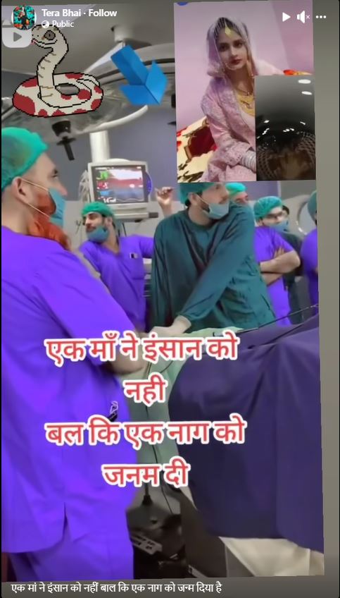 Fact Check: गर्भवती महिलेने सापाला जन्म दिला का? येथे वाचा सत्य