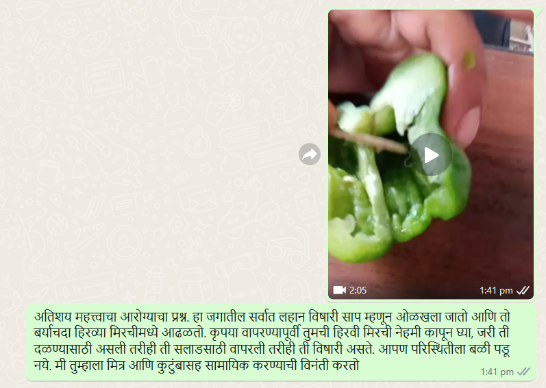 Fact Check: हिरव्या किंवा ढबू मिरचीत आढळतो जगातील सर्वात लहान विषारी साप? व्हायरल व्हिडीओचे सत्य इथे वाचा  